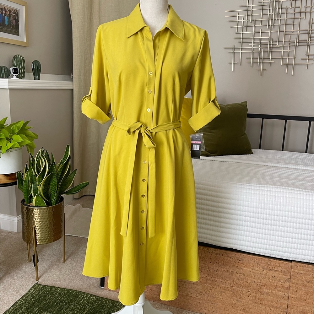 Nwt A line button down dress Size 10